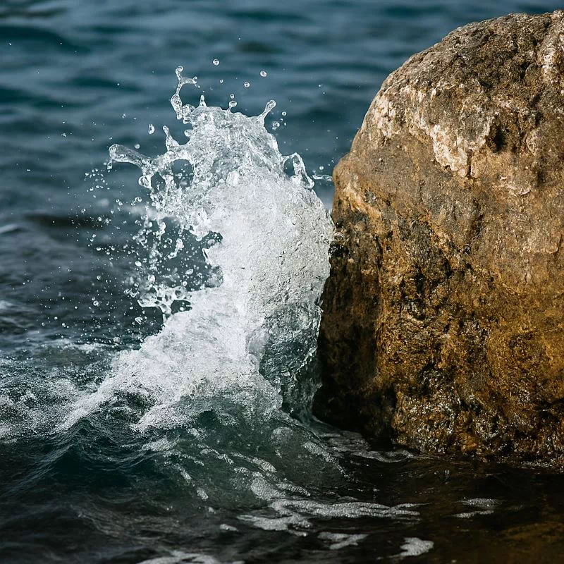 노자의 지혜, 물처럼 유연한 태도가 바위 같은 고집을 이기는 모습